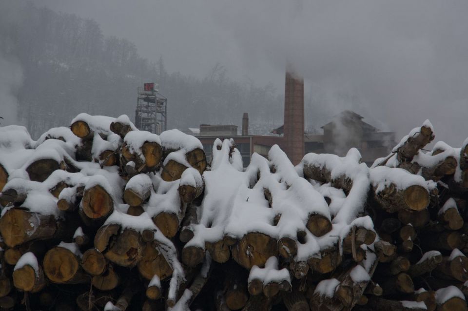 5. februar 14 - foto povečava