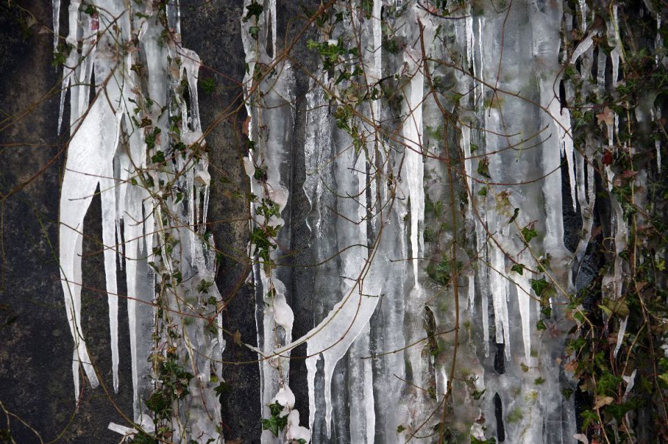 6. februar 14 - foto povečava