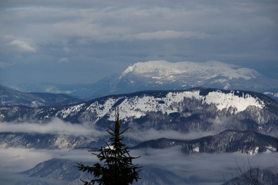 6. februar 14 - foto povečava