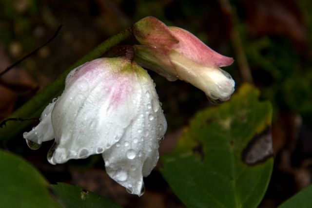 10. februar 14 - foto