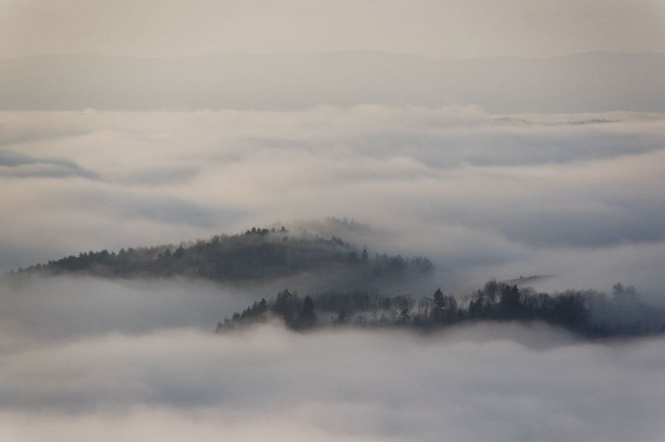 13. februar 14 - foto povečava