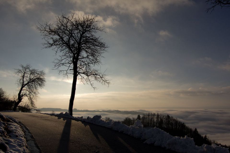 13. februar 14 - foto povečava