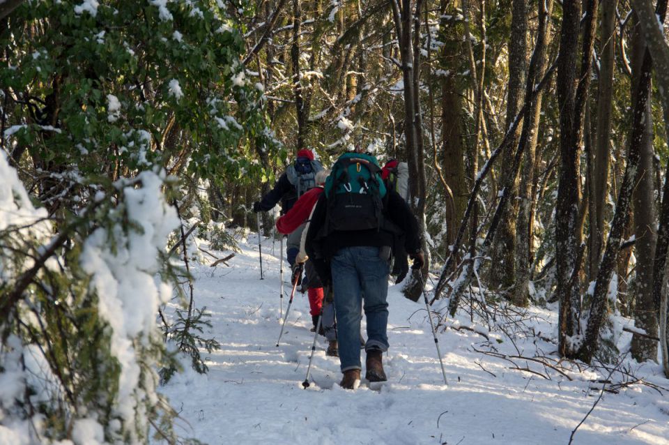 13. februar 14 - foto povečava