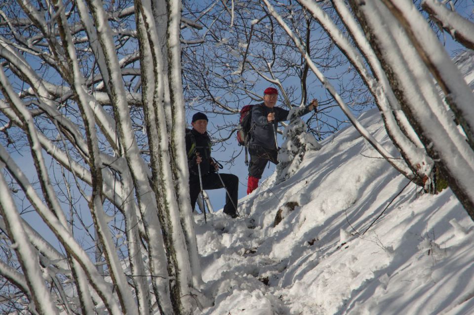 13. februar 14 - foto povečava