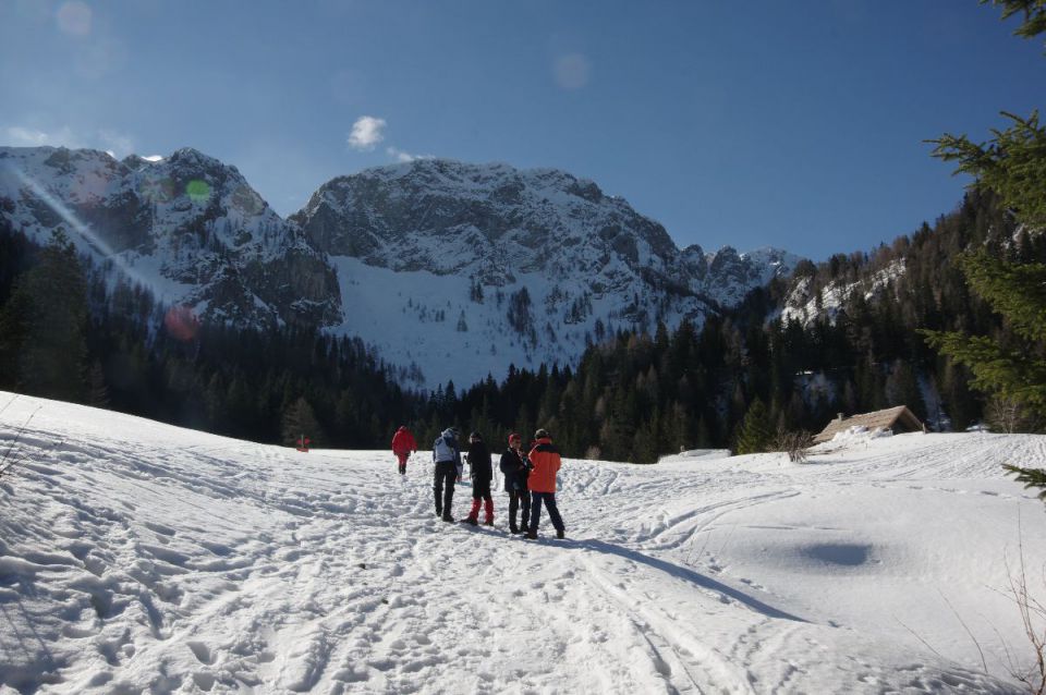 15. in 16. marec - foto povečava