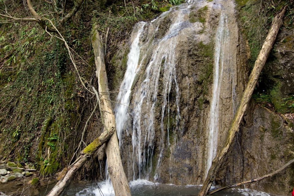 19. marec 14 - foto povečava