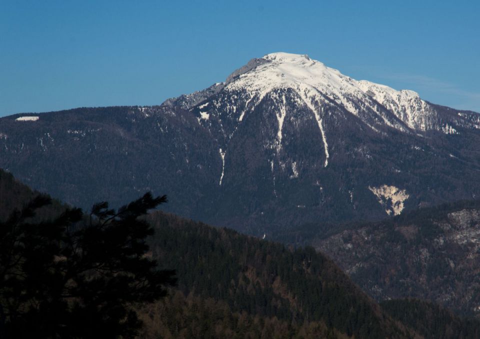 20. marec 14 - foto povečava