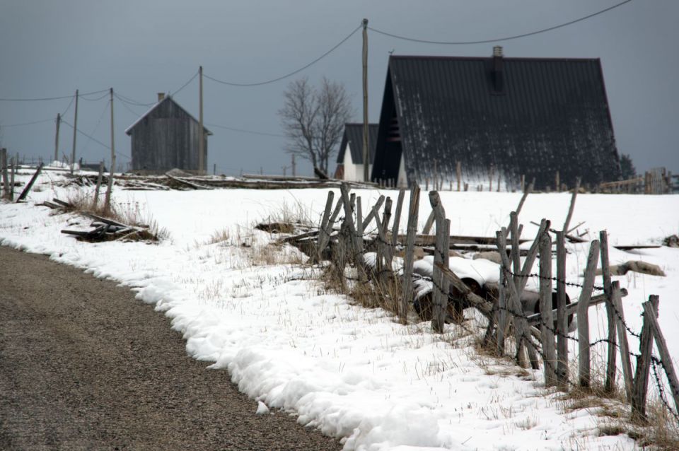 29. marec 14 - foto povečava