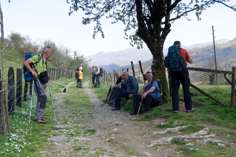 31. marec 14 - foto povečava