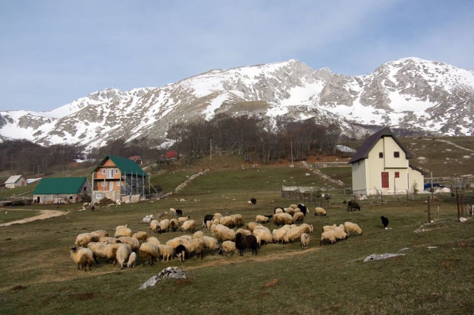 1. april 14 - foto povečava