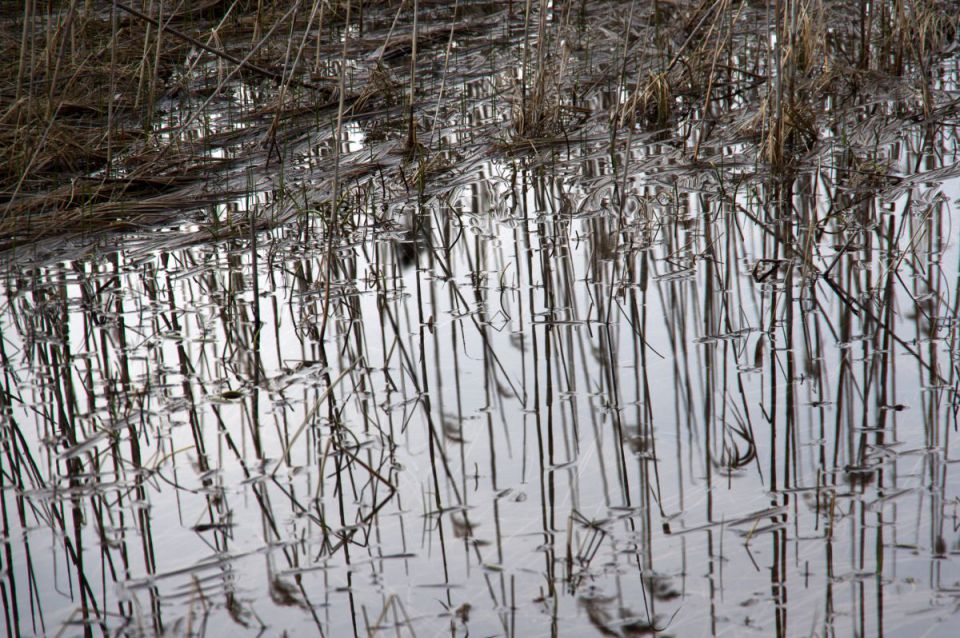 1. april 14 - foto povečava