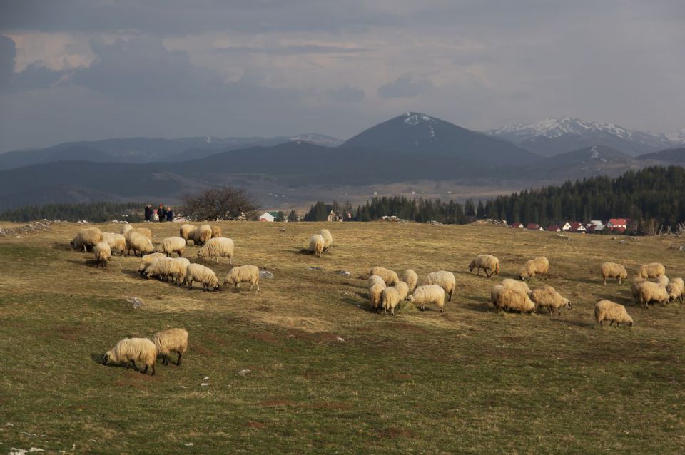 2. april 14 - foto povečava