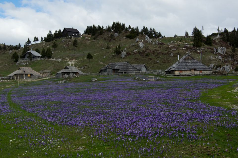 10. april 14 - foto povečava