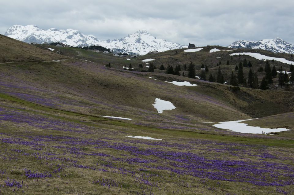 10. april 14 - foto povečava