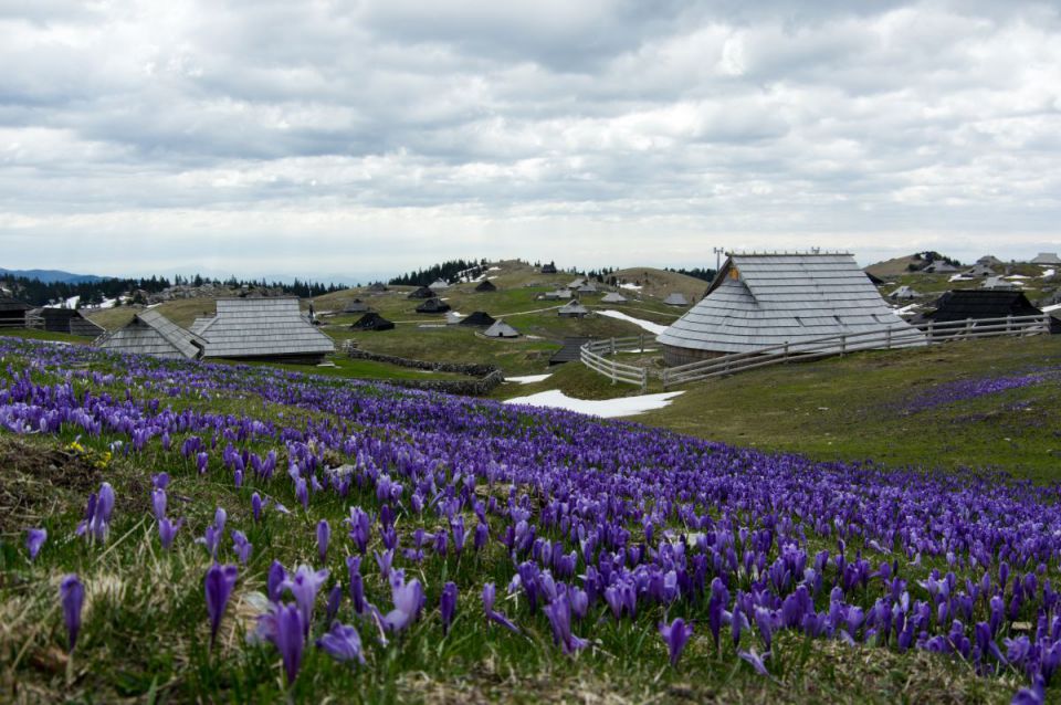 10. april 14 - foto povečava