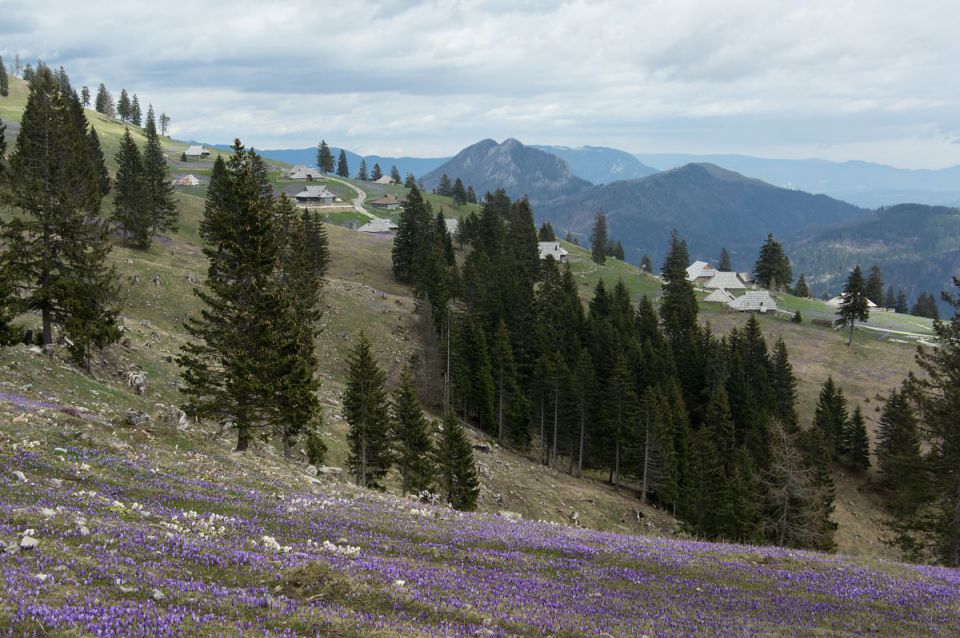 10. april 14 - foto povečava