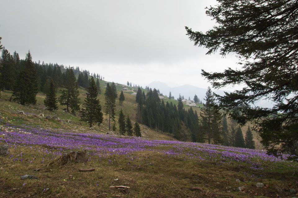 15. april 14 - foto povečava