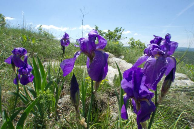 5. maj 14 - foto