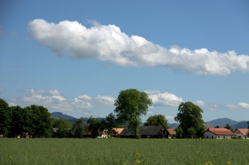 10. maj 14 - foto povečava