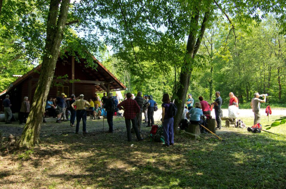 10. maj 14 - foto povečava