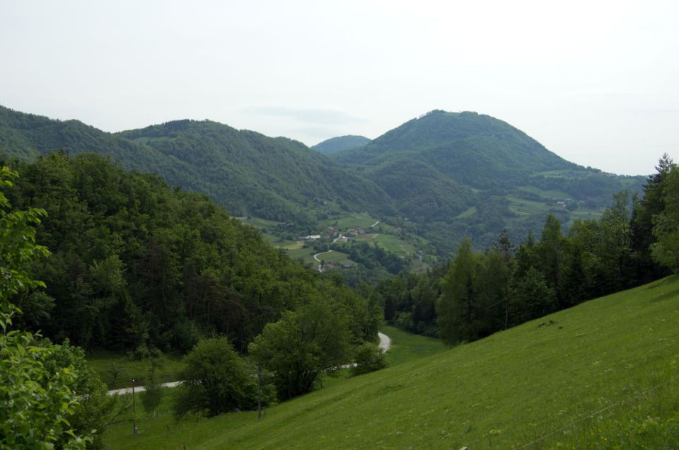 11. maj 14 - foto povečava