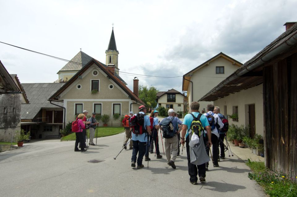 11. maj 14 - foto povečava