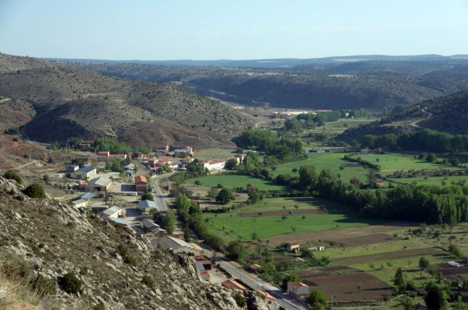 19. maj 14 - foto povečava