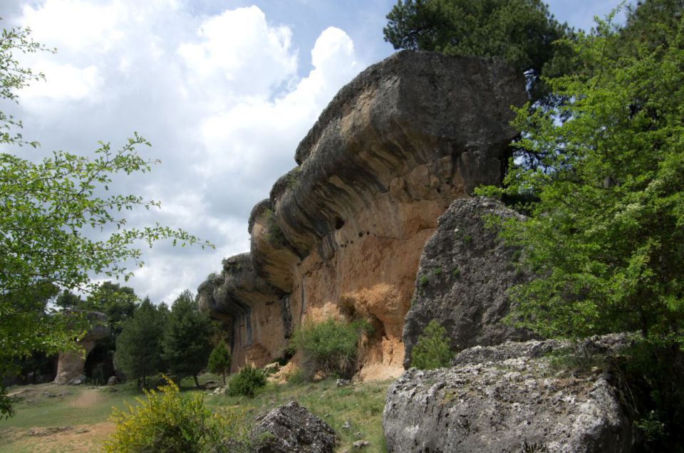 19. maj 14 - foto povečava