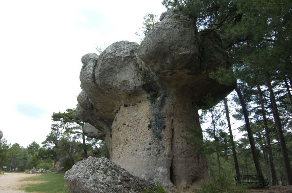 19. maj 14 - foto povečava