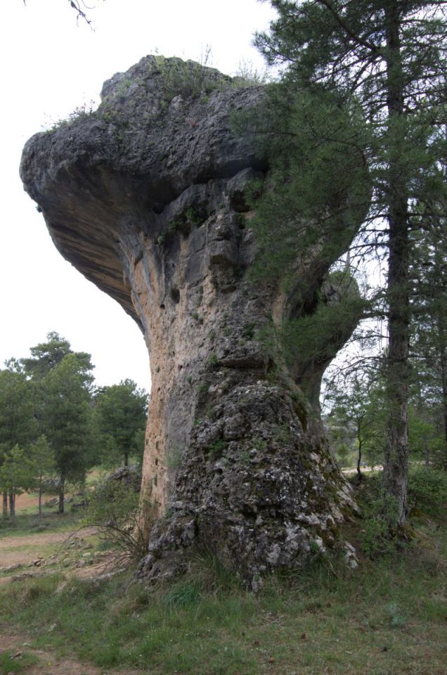 19. maj 14 - foto povečava