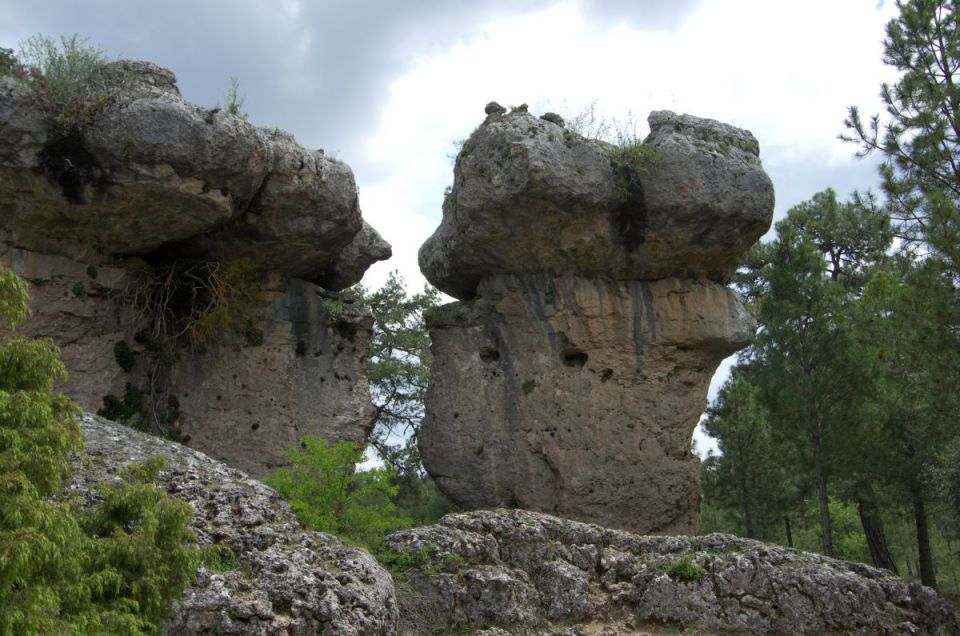 19. maj 14 - foto povečava