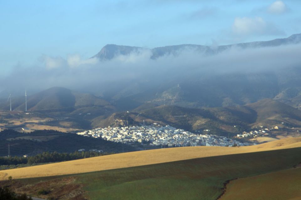 25.maj 14 - foto povečava