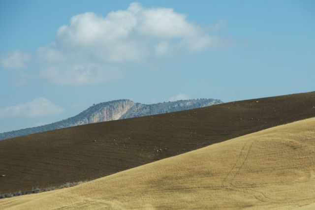 25.maj 14 - foto