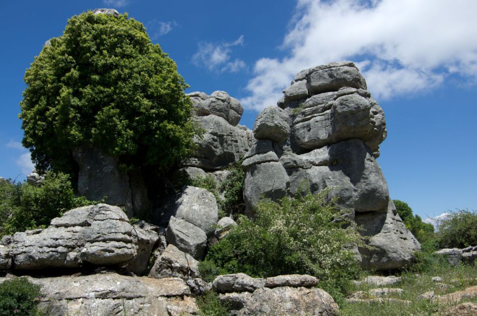 25.maj 14 - foto povečava