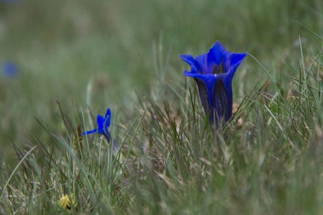 27. maj 14 - foto