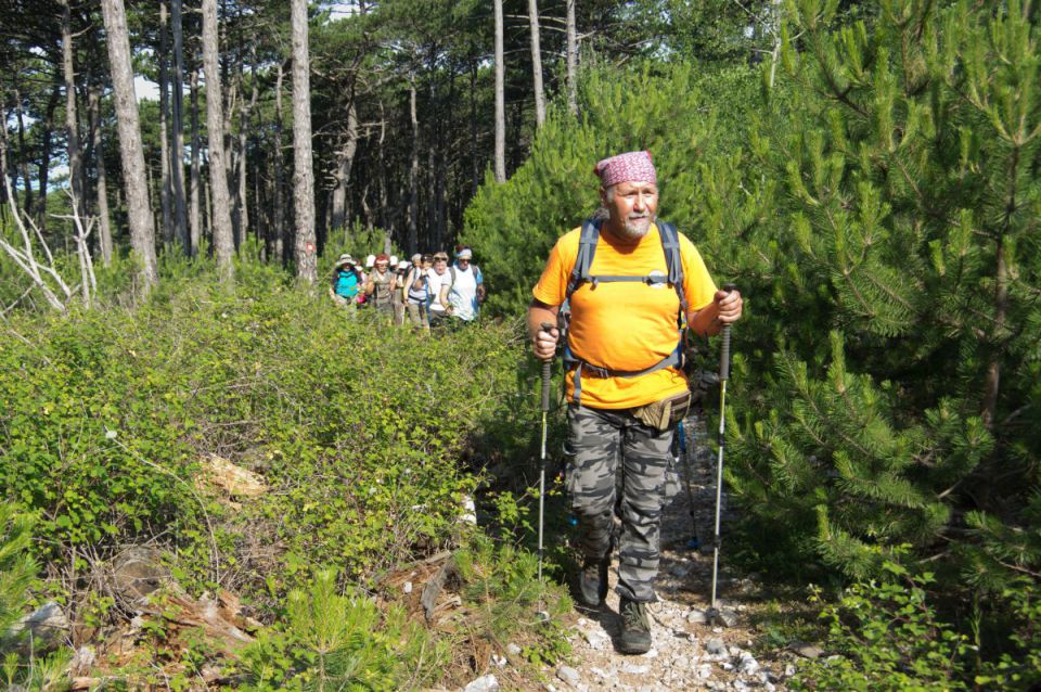 14. junij 14 - foto povečava