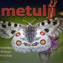 12. avgust 14 zvečer