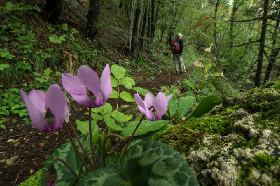 3. september 14 - foto povečava