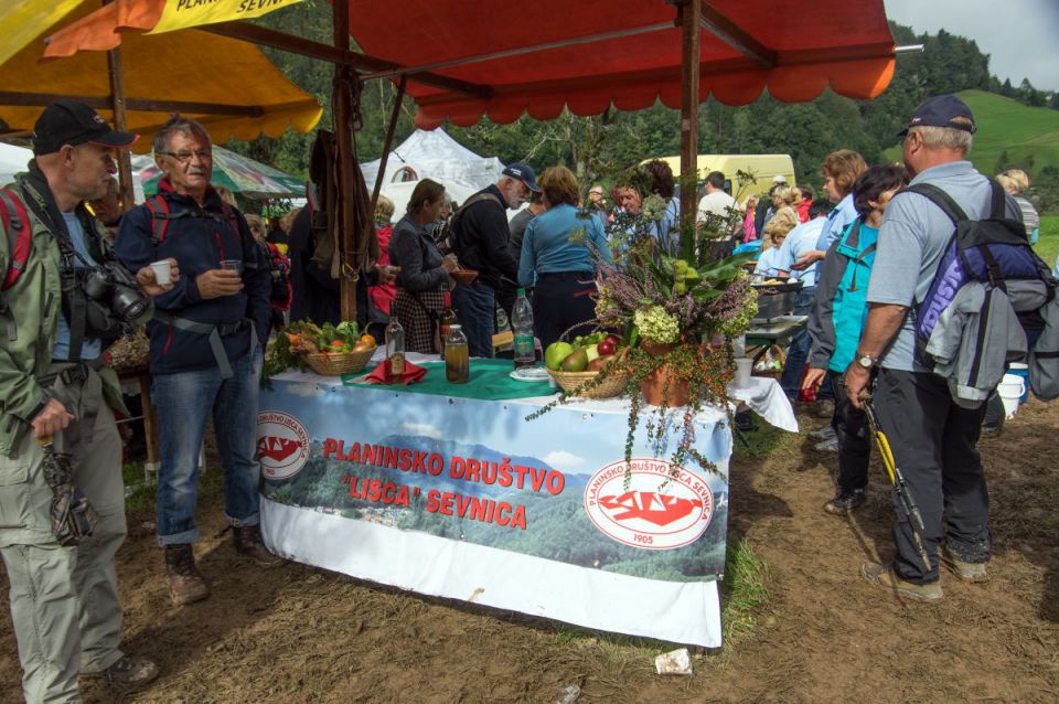 6. september 14 krompir - foto povečava