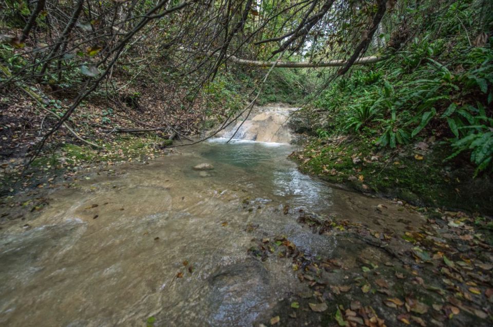 21. september 14 - foto povečava