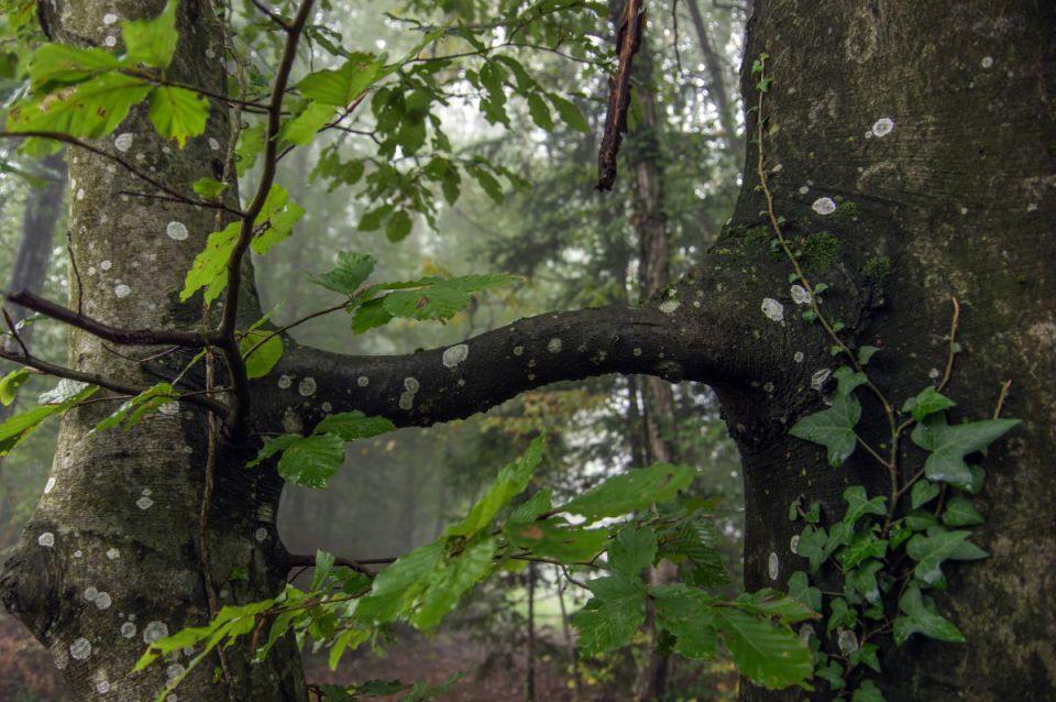 23. september 14 - foto povečava