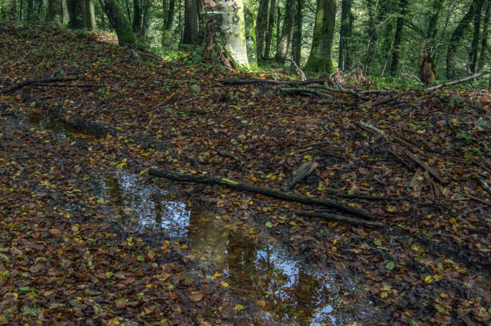 23. september 14 - foto povečava