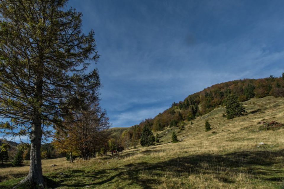 29. september 14 - foto povečava