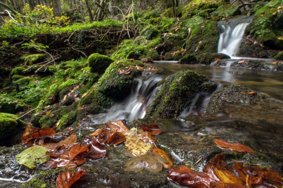 2. oktober 14 - foto povečava