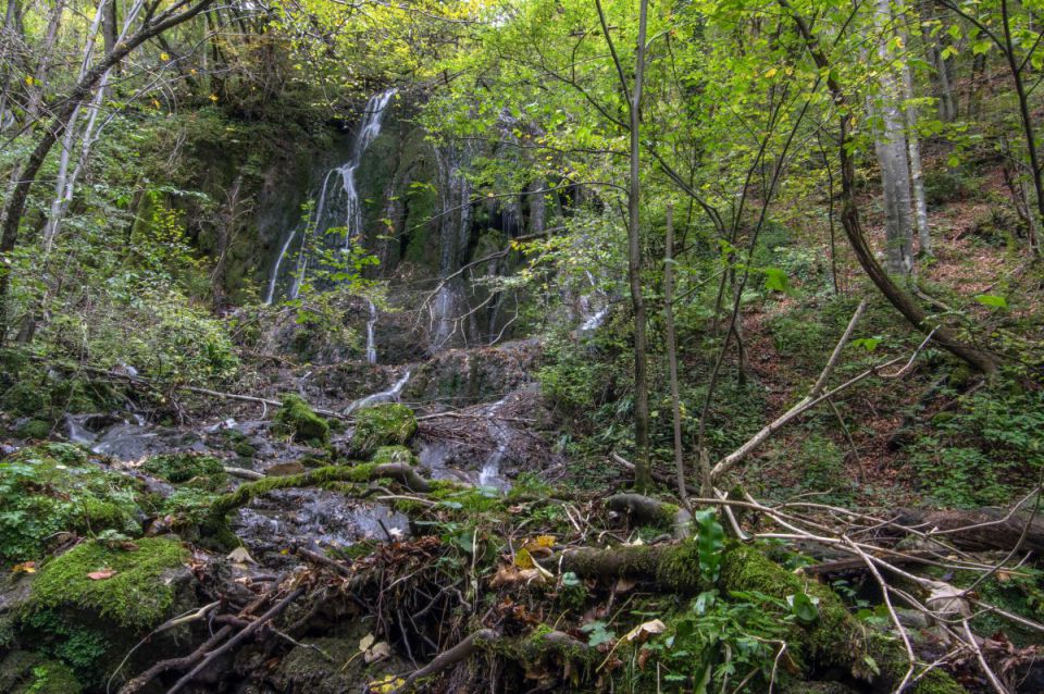 2. oktober 14 - foto povečava