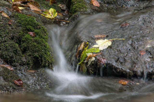 2. oktober 14 - foto