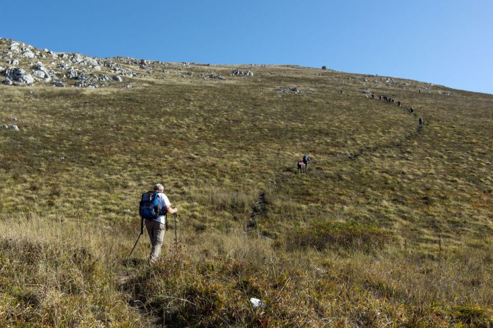 12. oktober 14 - foto povečava