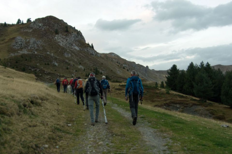 15. oktober 14 - foto povečava