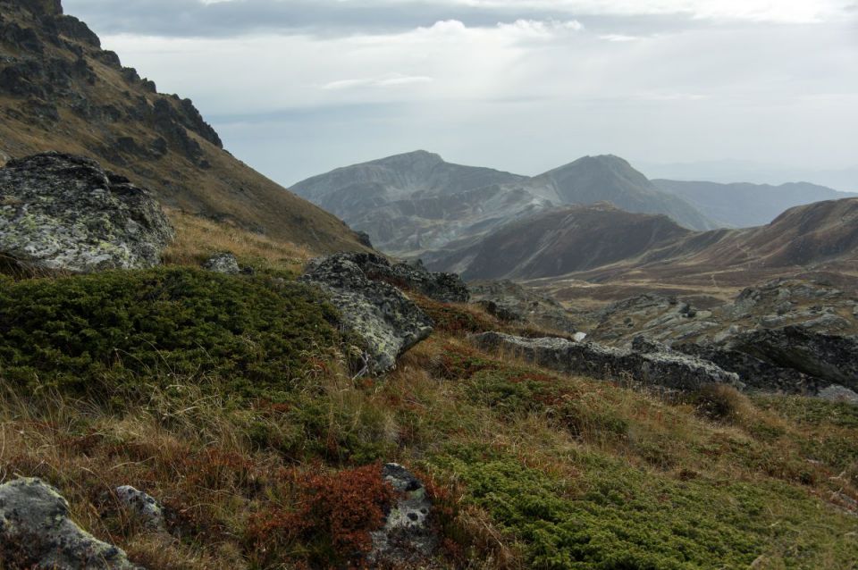 15. oktober 14 - foto povečava