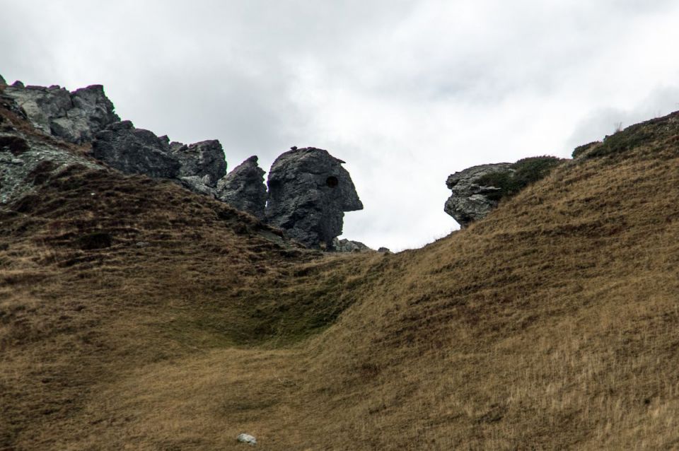 15. oktober 14 - foto povečava